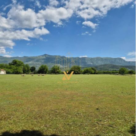 Plot for Sale