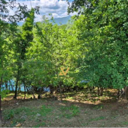 Plot for Sale